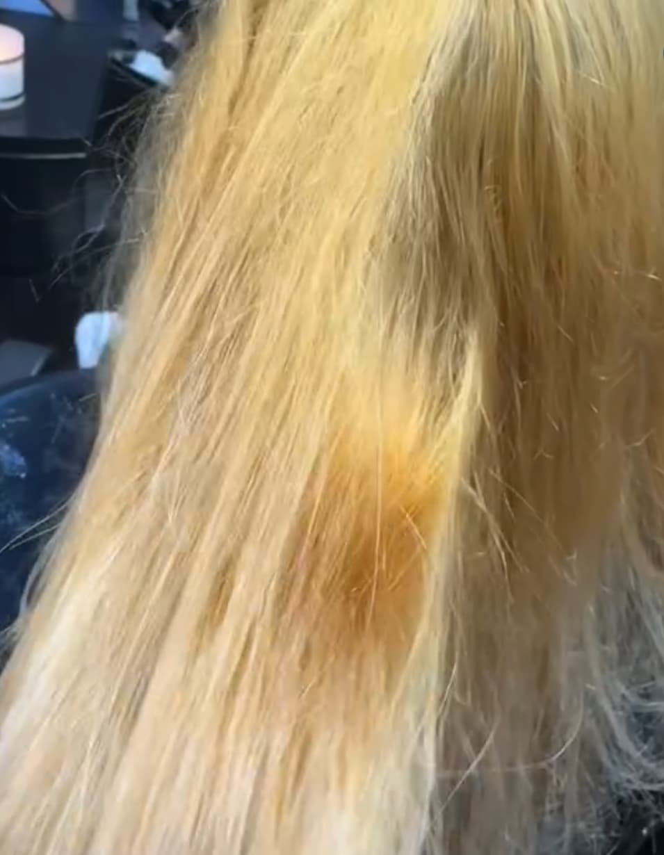 Before - Client 5